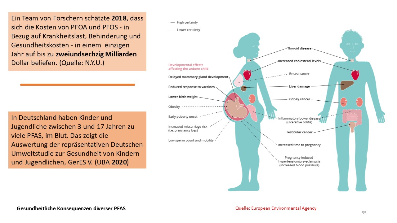 Gesundheitsfolgen von PFAS in einer Abbildung dargestellt