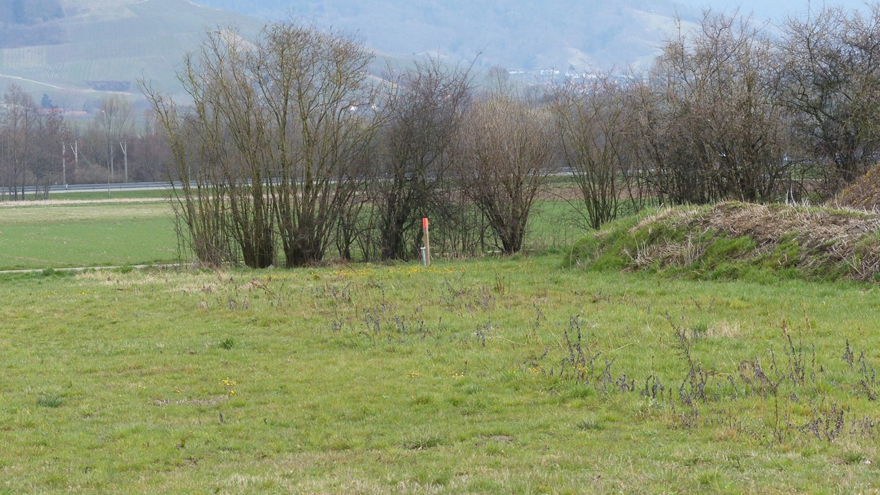 Blick auf einen Acker