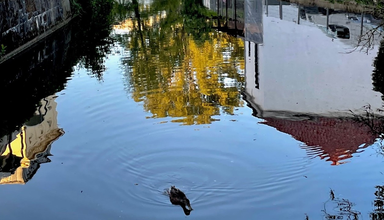 PFAS in der Murg in Rastatt