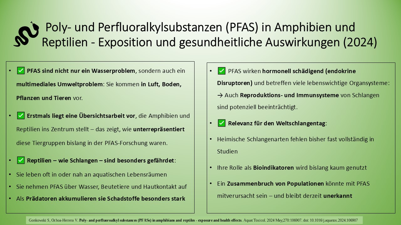 Textvergleich in zwei Kästen